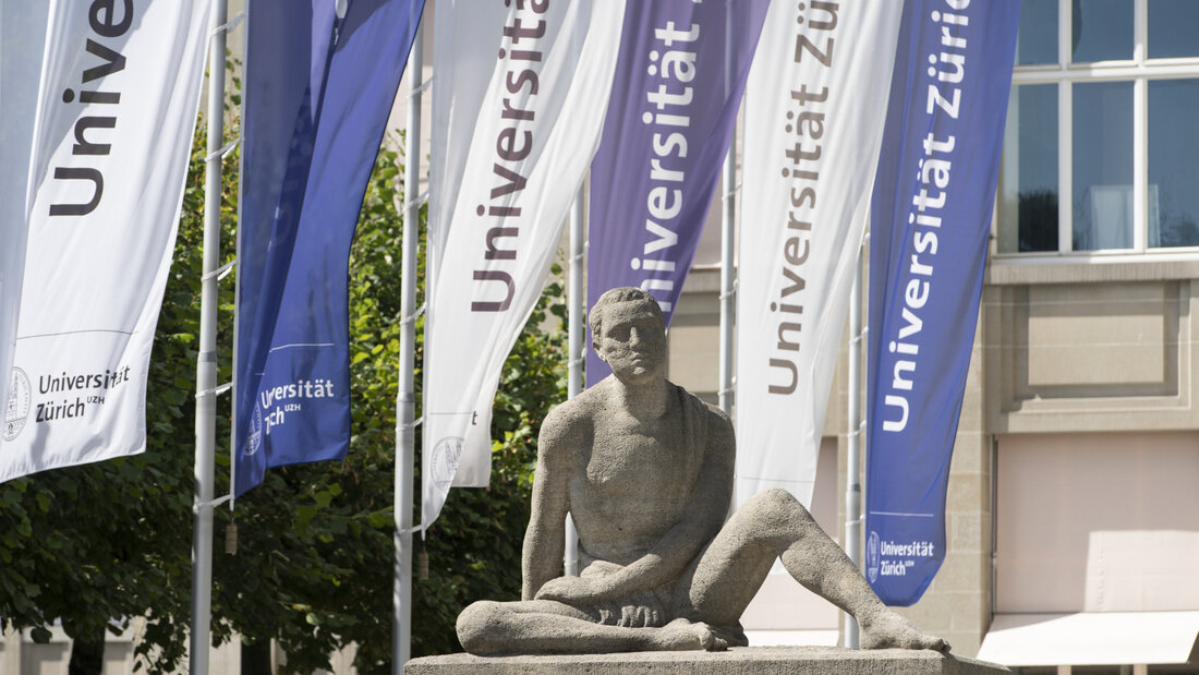 Das Mäusegehirn kann sich laut einer neuen Studie der Universität Zürich besser heilen als bisher bekannt. (Symbolbild) 20260810100536099.jpg