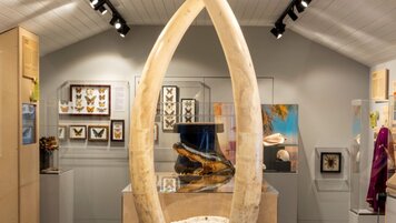 Schweizerisches Zollmuseum/Bundesamt für Zoll und Grenzsicherheit 20260331125218964.jpg