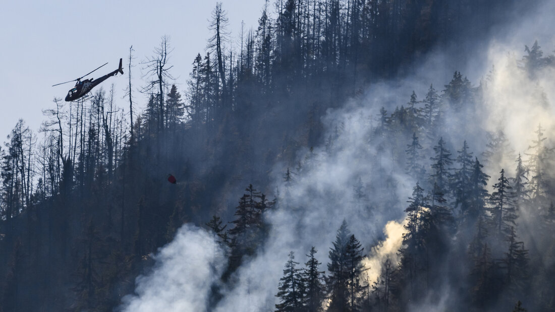 Waldbrände, wie jener in Bitsch im Jahr 2023 im Bild, gibt es auch in der Schweiz. (Archivbild) 20260730090102318.jpg