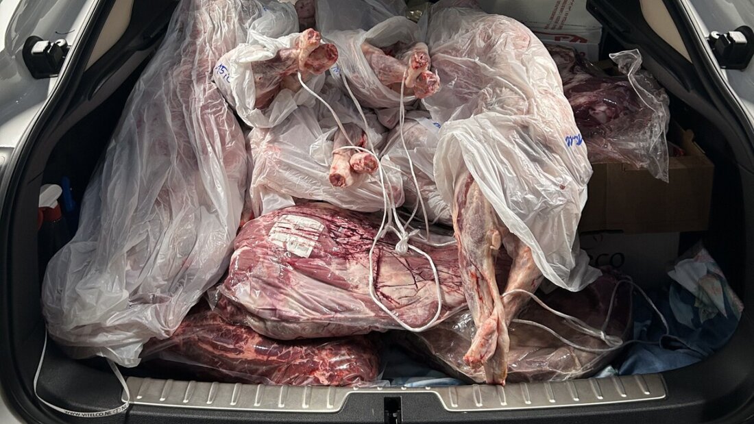 Das ungekühlte und unverzollte Fleisch lag im Kofferraum eines Autos. 20250804111247090.jpg