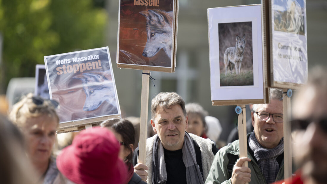 Hunderte Menschen forderten am Samstag vor dem Bundeshaus in Bern ein Ende des "Wolfsmassakers". 20250927151433633.jpg