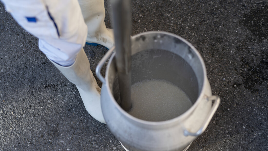 Ausserrhoden testete vor allem Milch, aber auch Tränkewasser auf PFAS-Chemikalien. (Symbolbild) 20260715123423464.jpg