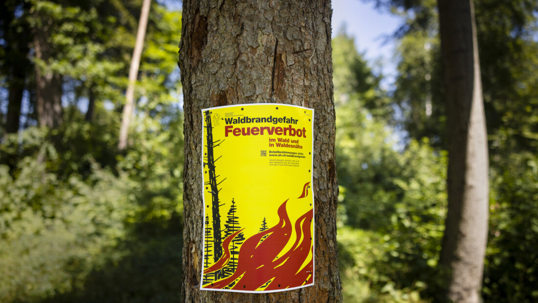 In Liechtenstein herrscht aktuell eine grosse Waldbrandgefahr. (Symbolbild) 20260623124236197.jpg