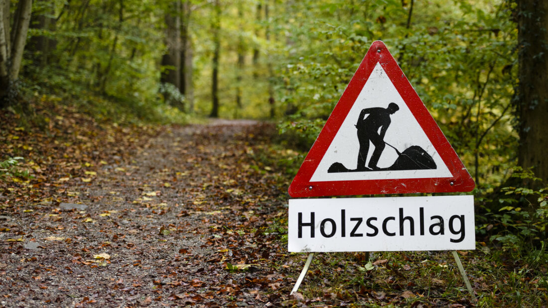 Laut der Beratungsstelle für Unfallverhütung in der Landwirtschaft wurden im letzten Jahr vier Personen tödlich von Stämmen oder Baumteilen erfasst oder getroffen. (Archivbild) 20260123114355967.jpg