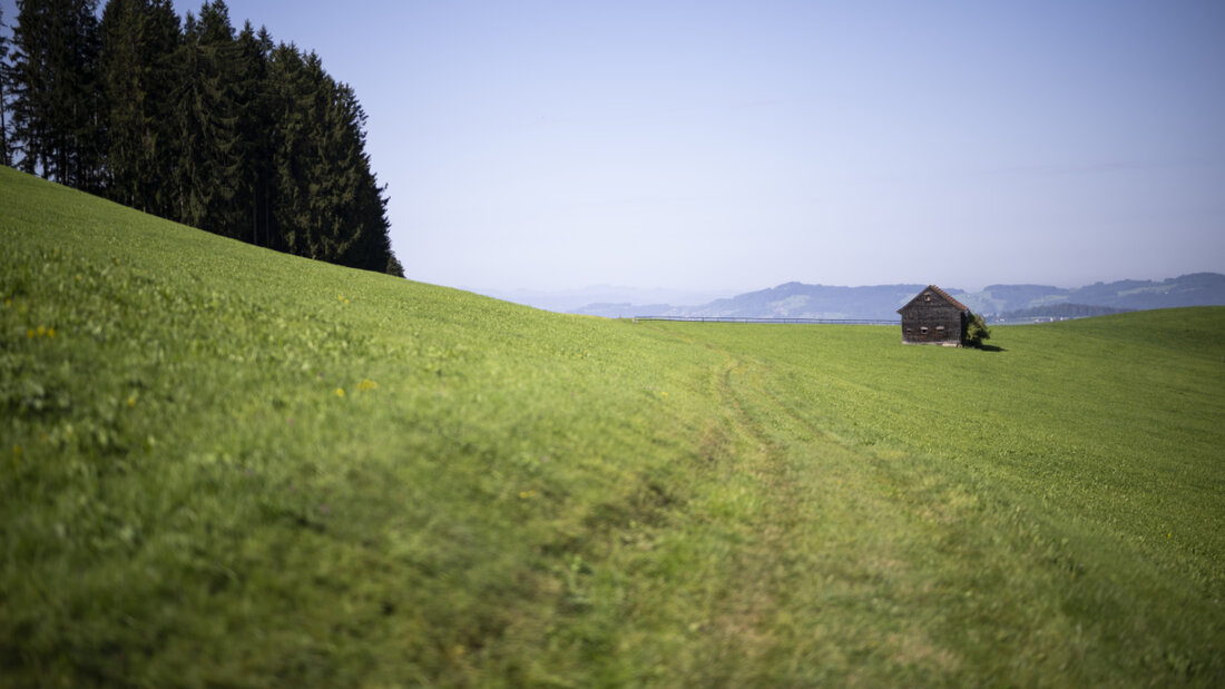 Die Eggersrieter Höhe im Kanton St. Gallen ist eines der Gebiete, in welchem mit PFAS-belastete Flächen festgestellt wurden. Die St. Galler Regierung setzt sich nun beim Bund dafür ein, dass Betriebe mit einer PFAS-Belastung unterstützt werden. (Archivbild) 20260416134335198.jpg