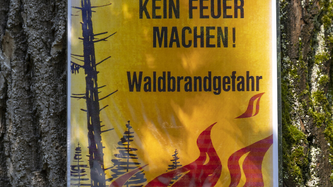 In zahlreichen Gemeinden des Kantons St. Gallen gilt ein Feuerverbot im Wald. (Archivbild) 20250416142742104.jpg