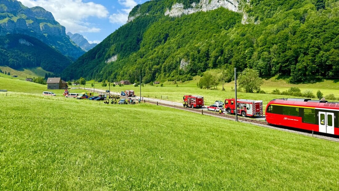 Die Kollision des Zuges mit dem Auto geschah an einem mit Andreaskreuz gesicherten Bahnübergang. Der Lenker wurde schwer und seine Beifahrerin leichter verletzt. Auch ein Hund trug Verletzungen davon. 20250713163522522.jpg