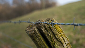 Keystone/GEORGIOS KEFALAS 20260127151851119.jpg