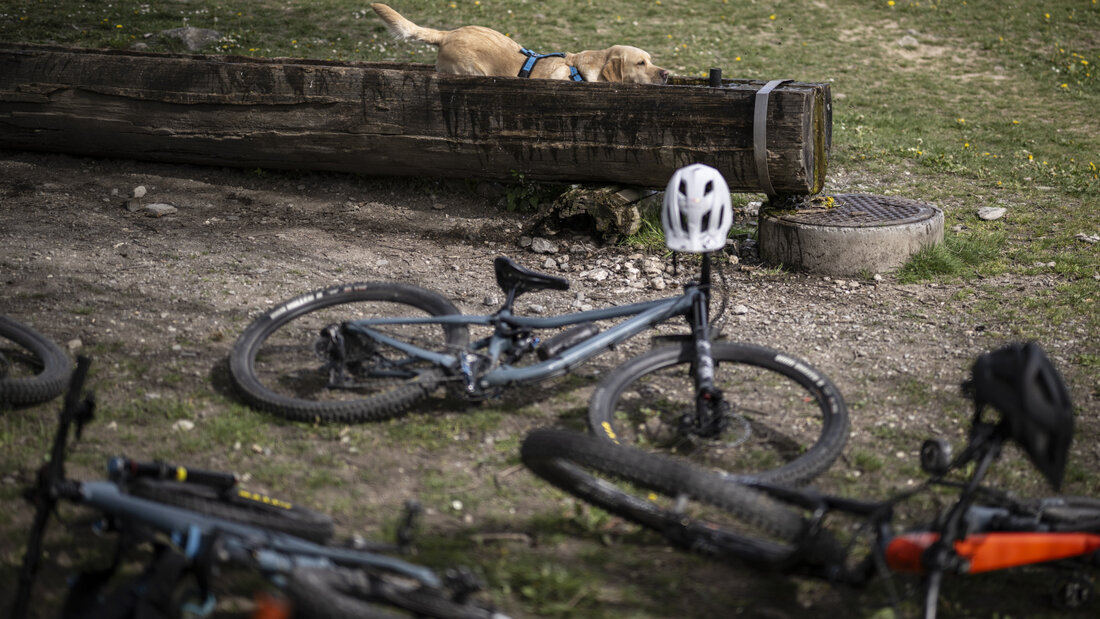 Die St. Galler Regierung legte unter anderem eine Mountainbike-Strategie vor. (Symbolbild) 20261012100439770.jpg