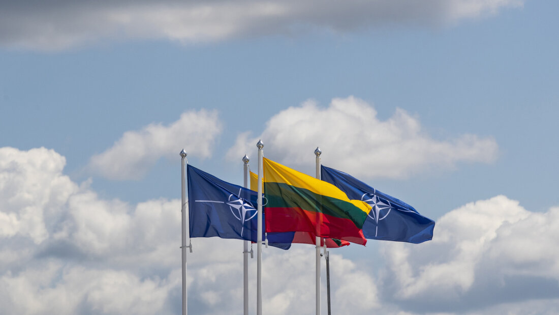 ARCHIV - Litauens Flagge. Foto: Mindaugas Kulbis/AP/dpa/Archivbild 20251025153339852.jpg