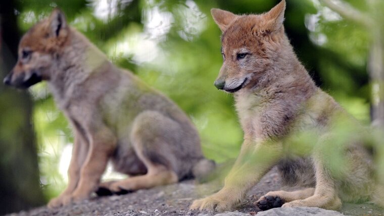 KEYSTONE/WALTER BIERI 20250904121018287.jpg