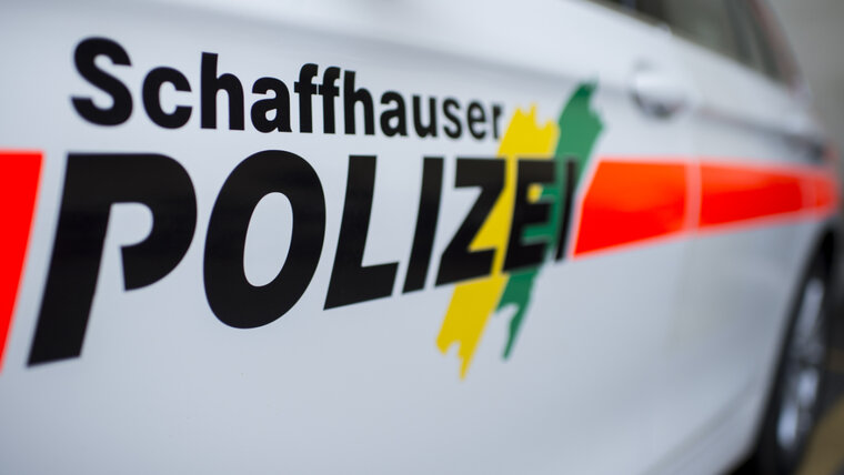 KEYSTONE/ENNIO LEANZA 20250819092732995.jpg