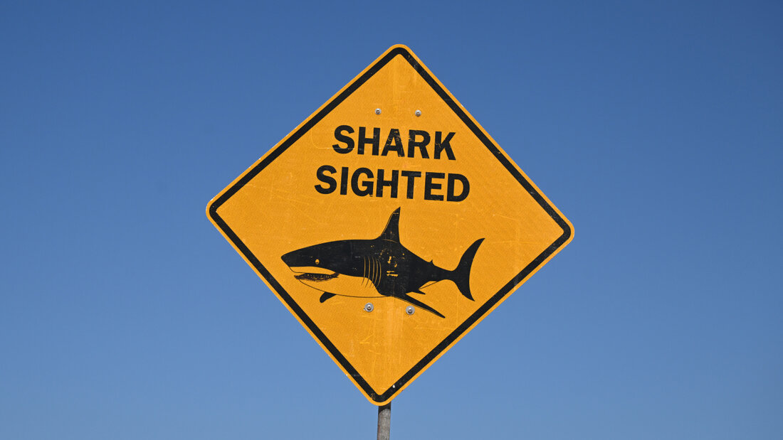 ARCHIV - Ein Schild warnt vor Haien an einem Strand in Australien. Foto: Dean Lewins/AAP/dpa/Archivbild 20260918081451341.jpg