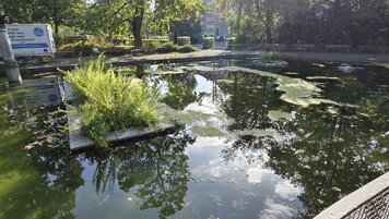 Stadt St. Gallen 20260826135109133.jpg