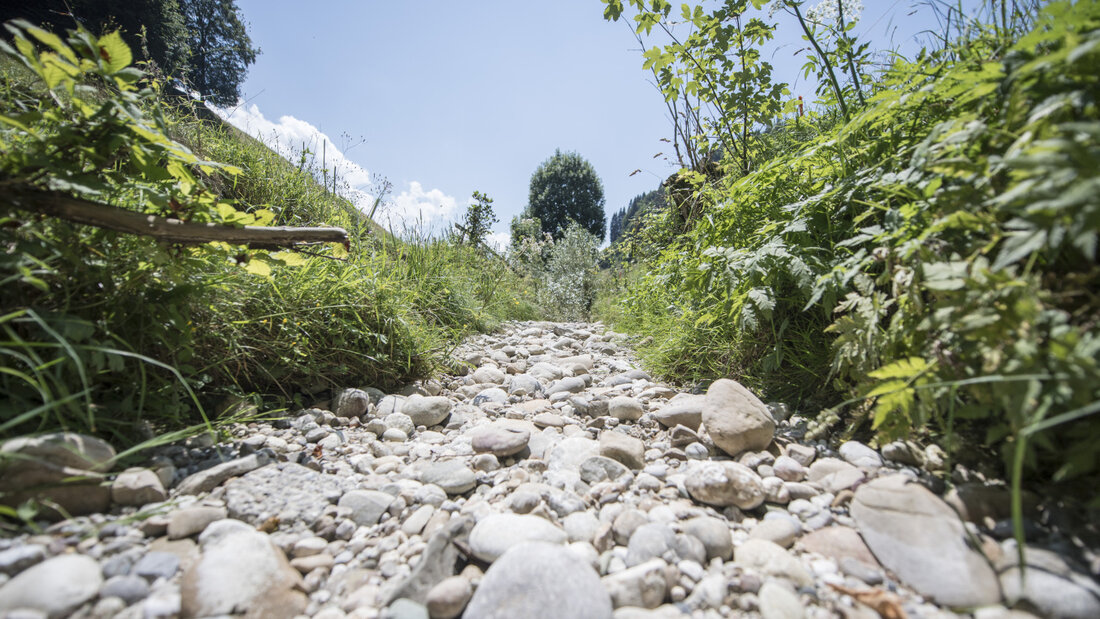 Die Trockenheit hält an. Der Kanton Glarus verhängt deshalb ein Wasserentnahme-Verbot für alle Oberflächengewässer im Tal. (Symbolbild) 20260813190927656.jpg