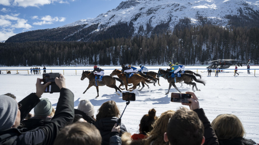 Das White Turf wird auch 2026 für Pferdesport-Spektakel sorgen 20251208195308089.jpg