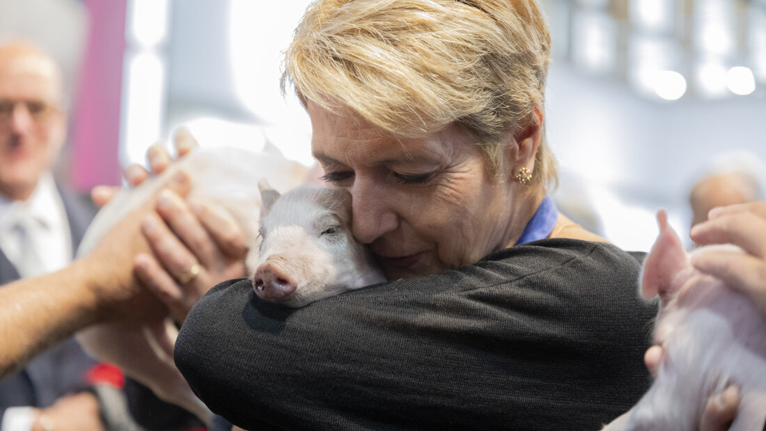 Im vergangenen Jahr eröffnete Bundesrätin Karin Keller-Sutter (FDP) mit dem Ferkel Paola die 82. Olma in St. Gallen. 20261006105122245.jpg