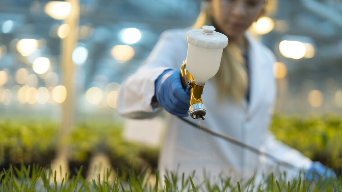 Der Agrochemiekonzern Syngenta hat im ersten Halbjahr im Geschäft mit Pflanzenschutzmitteln mehr umgesetzt. (Archivbild) 20250828082539935.jpg