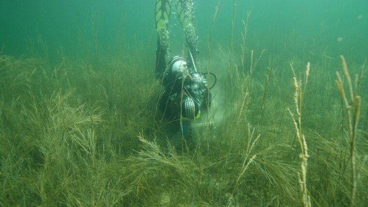 Universität Konstanz/Almut Hanselmann