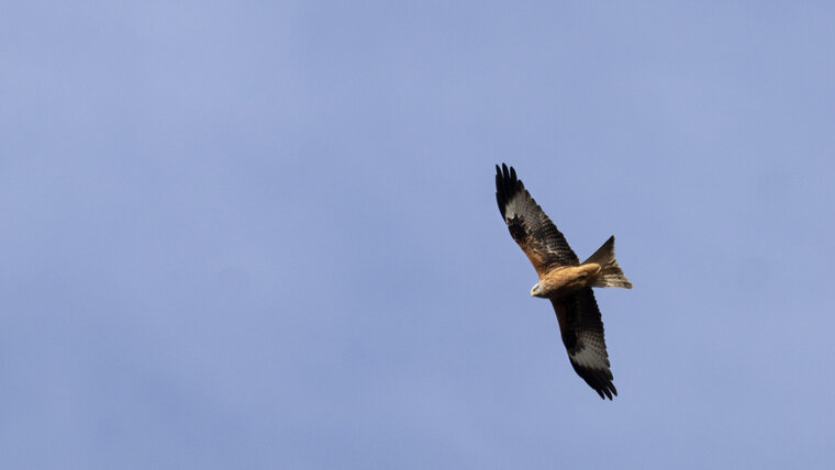 Keystone/GAETAN BALLY 20260304093052988.jpg