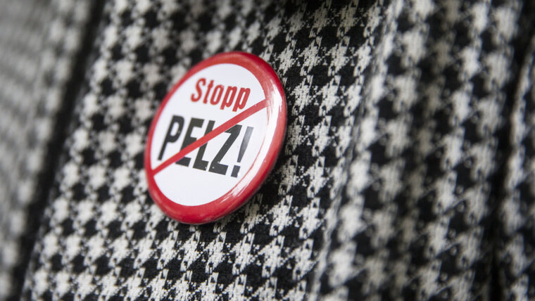 KEYSTONE/PETER KLAUNZER 20250917160055357.jpg