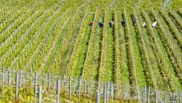 KEYSTONE/NOEMI CINELLI 20251029113033083.jpg