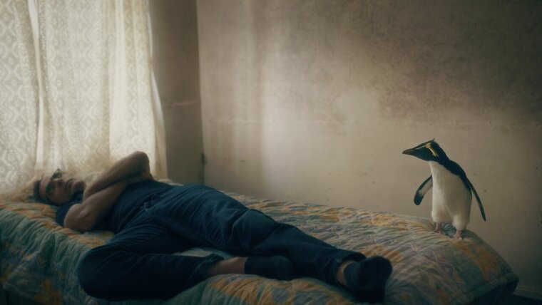 Handout/Hugofilm features/Tobias Nölle 20260212093706026.jpg