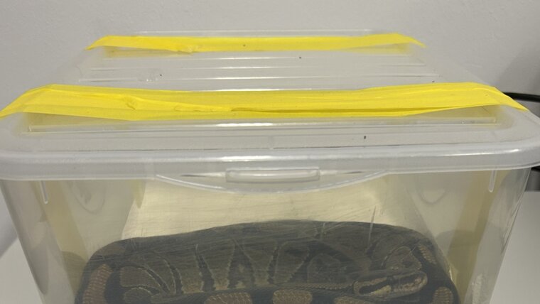 ZVG 20250829110623209.jpg