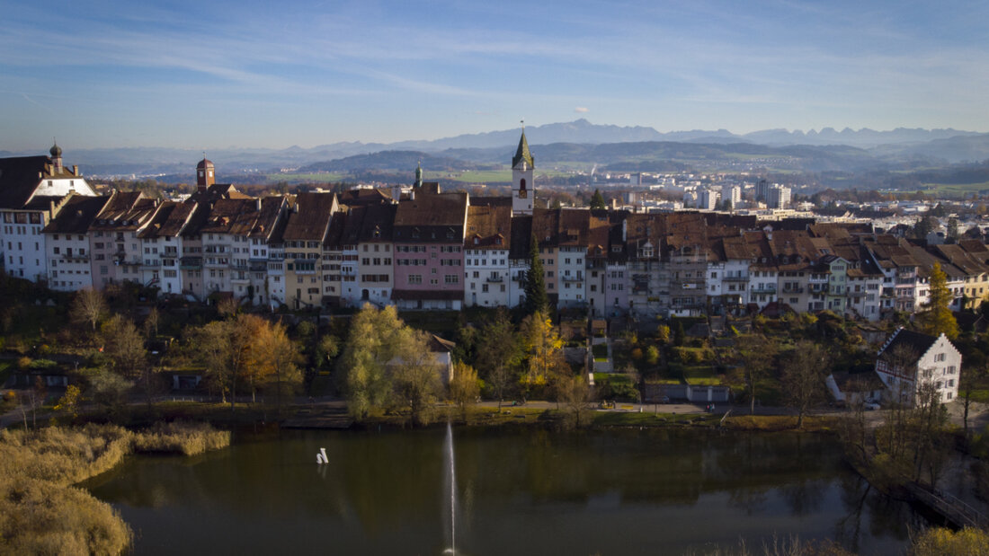Beim Wiler Stadtweiher wurden Mitte November bei vier Enten und einem Schwan das Vogelgrippevirus nachgewiesen. (Archivbild) 20251215101057115.jpg