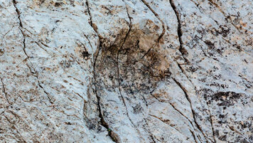 Keystone/Stelvio National Park via AP/Elio Della Ferrera 20251216180717758.jpg