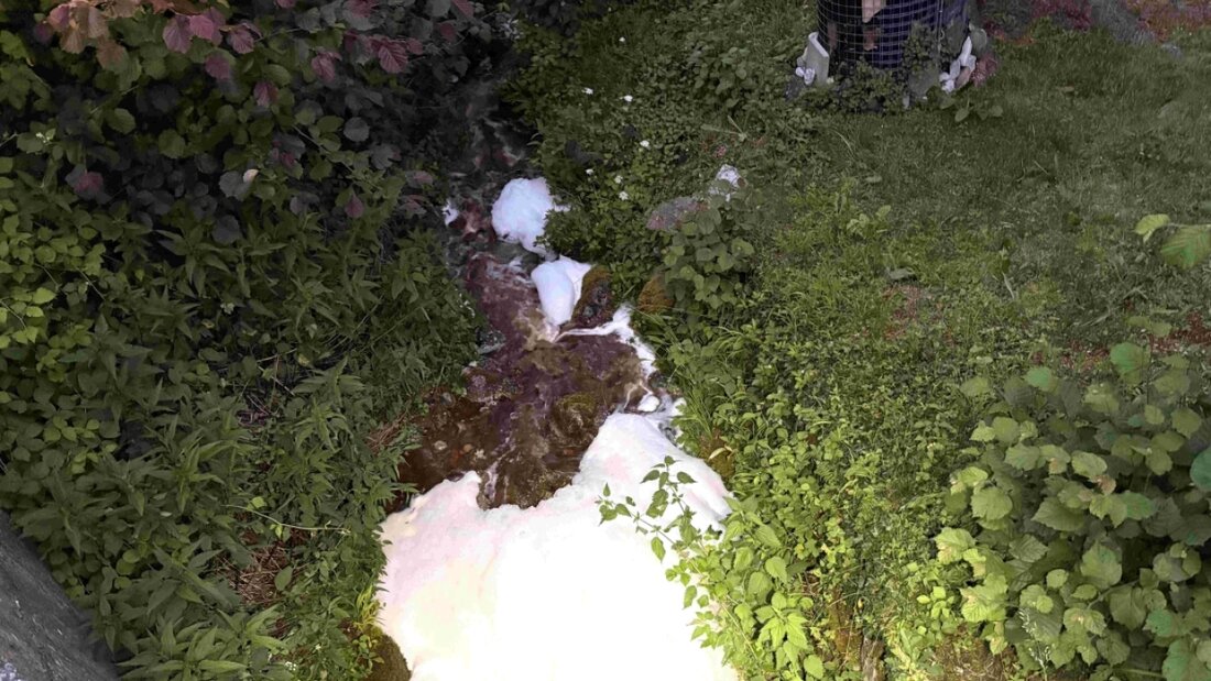 Gemäss bisherigen Erkenntnissen gelangte das Schmutzwasser im Rahmen von Reinigungsarbeiten in einem Betrieb in die Meteorwasserkanalisation. 20260606110726060.jpg