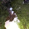Kantonspolizei St. Gallen 20260606110726060.jpg