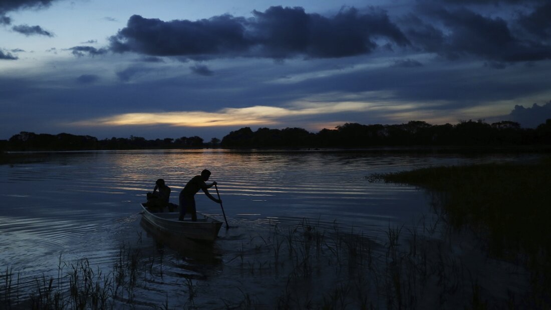 Auch im Amazonas gibt es laut Forschern höhere Quecksilber-Werte. (Archivbild) 20250614050732718.jpg