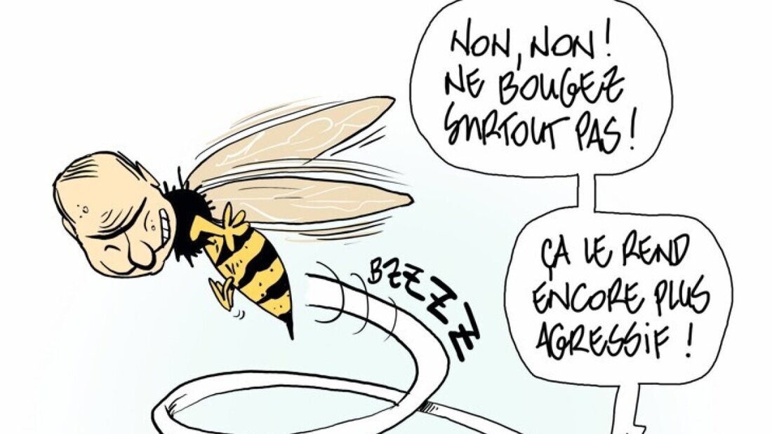 Mit dem Swiss Cartoon Award 2025 ausgezeichnet: der Cartoon von Pitch Comment. 20251212095658404.jpg