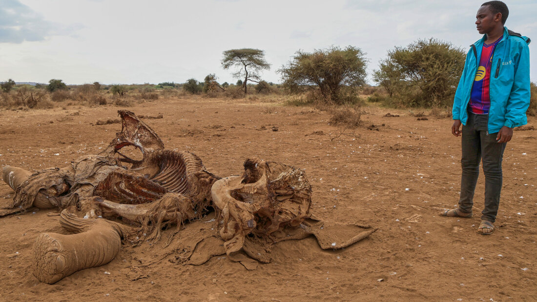 ARCHIV - Ein Mann steht neben dem Kadaver eines Elefanten im Dorf Kitenden am Rande des Amboseli-Nationalparks. Foto: Andrew Kasuku/AP/dpa/Archivbild 20260824093920931.jpg