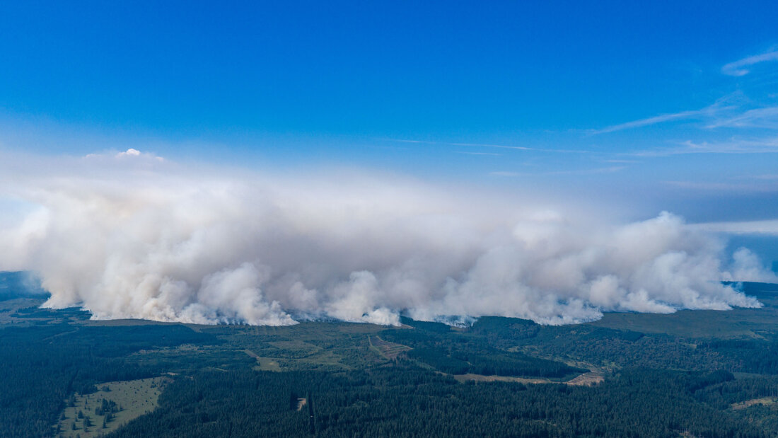 dpatopbilder - Eine große Rauchwand ist von Deutschland in Richtung des großen Waldbrands in Belgien im Gebiet Hohes Venn zu sehen. (Luftaufnahme mit einer Drohne) Foto: Christoph Reichwein/dpa 20260816234738405.jpg
