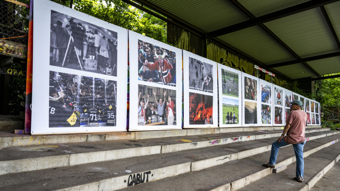 Presstival setzt auch auf Fotografie mit einer Ausstellung über den Eifer von Fans. 20250607123602737.jpg