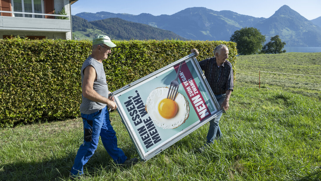 Die Schweizer Stimmbevölkerung hält die Ernährungsinitiative für das falsche Rezept für mehr Selbstversorgung. Sie hat die Initiative wuchtig abgelehnt. (Archivbild) 20260927161149133.jpg