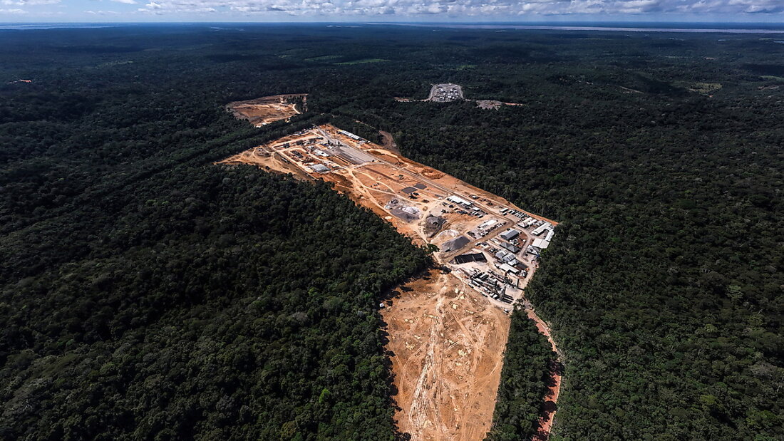 Forschende untersuchten, inwiefern sich die Zerstörung des Amazonas-Regenwalds auf dessen CO2-Bilanz auswirkt. (Archivbild) 20240806043000231.jpg