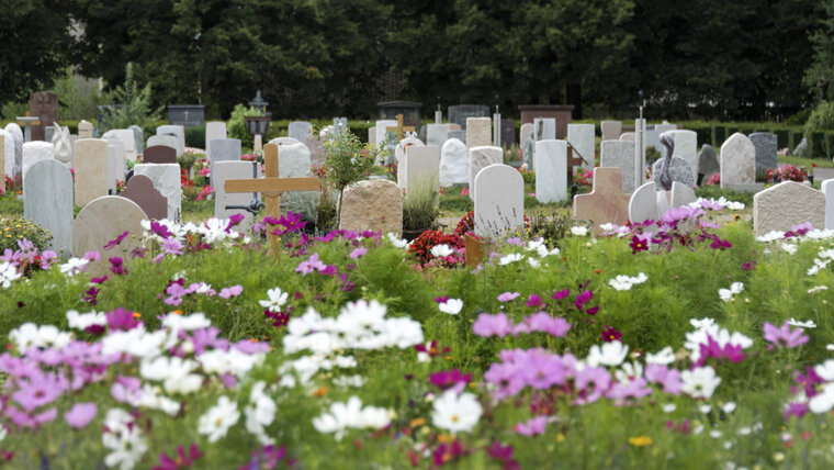 KEYSTONE/GEORGIOS KEFALAS 20250829165345780.jpg