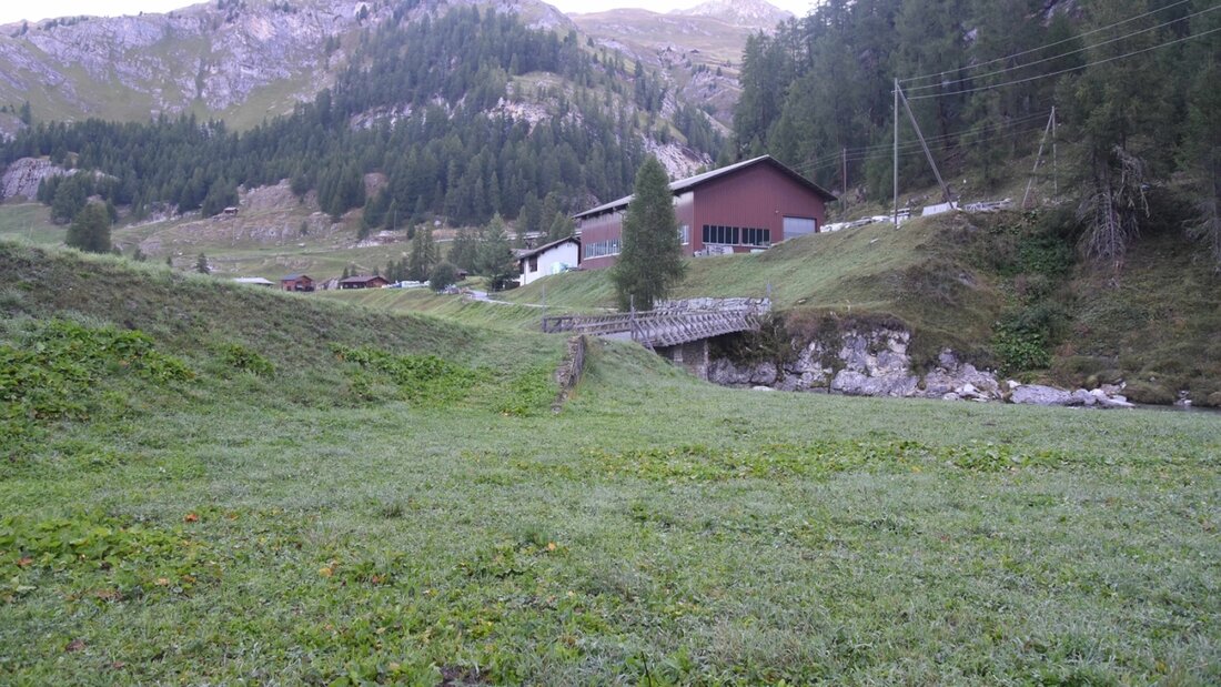 Auf dieser Wiese in Cröt GR erlegte ein Jäger am Sonntagmorgen versehentlich ein Pferd. 20260907111051989.jpg