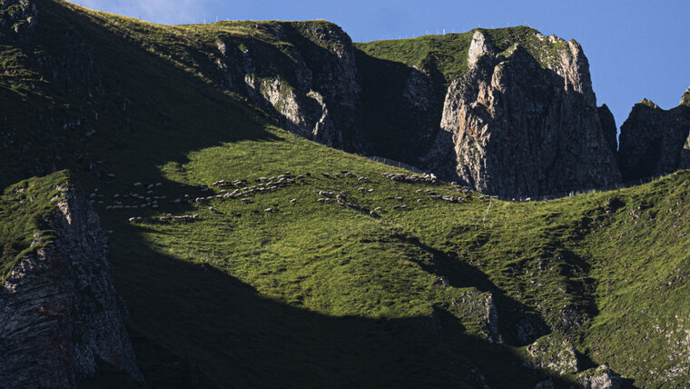 KEYSTONE/GIAN EHRENZELLER 20250709110330239.jpg