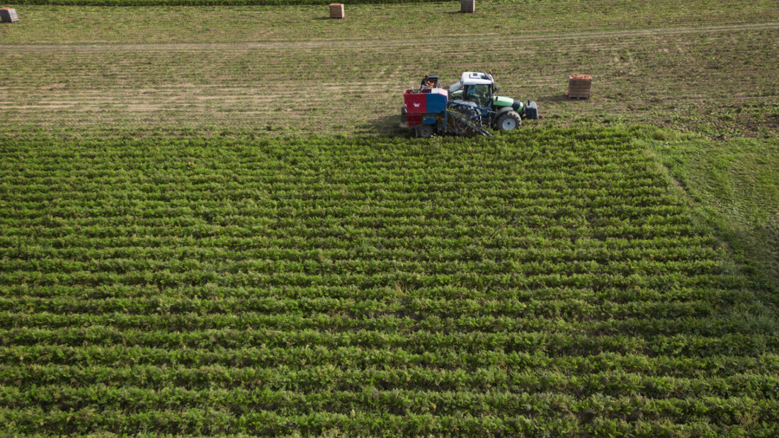 Der Thurgau untersucht ab 2026 Böden und Gewässer auf ihre PFAS-Belastung. (Symbolbild) 20250829084459128.jpg