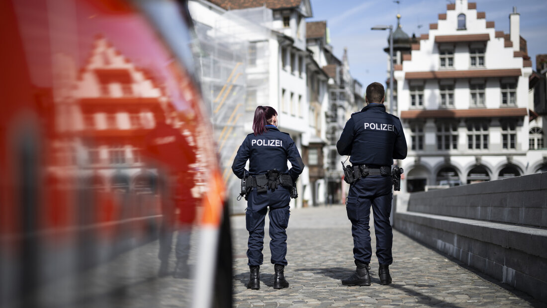 Die Stadtpolizei St. Gallen sucht nach einem dunkelbraunen Schaf. (Symbolbild) 20261013111457643.jpg