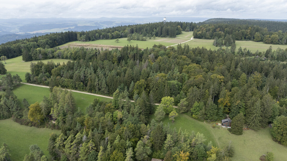 Windräder in der Nähe des Hagenturms bei Merishausen SH wird es in absehbarer Zeit nicht geben. Sie könnten militärische Anlagen in dem Gebiet stören. (Symbolbild) 20260924160723411.jpg