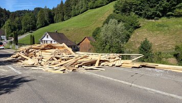 Bild: Kapo TG 20260529140729682.jpg
