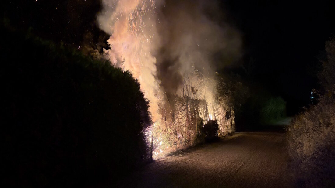 In Bollingen geriet am Freitagabend eine Hecke über mehrere Meter in Brand. 20260523105353022.jpg