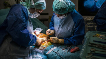 KEYSTONE/MARTIAL TREZZINI 20251102093056452.jpg