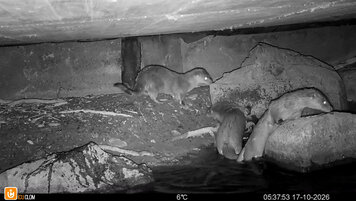 Amt für Jagd und Fischerei Graubünden 20261020105622972.jpg