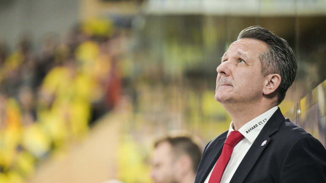 Marco Bayer schliesst sich als Assistent Genève-Servette an 20260527061019445.jpg